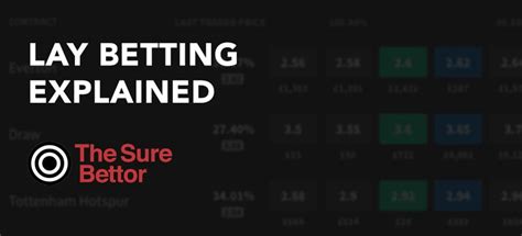 lay bet explained|lay bet odds.